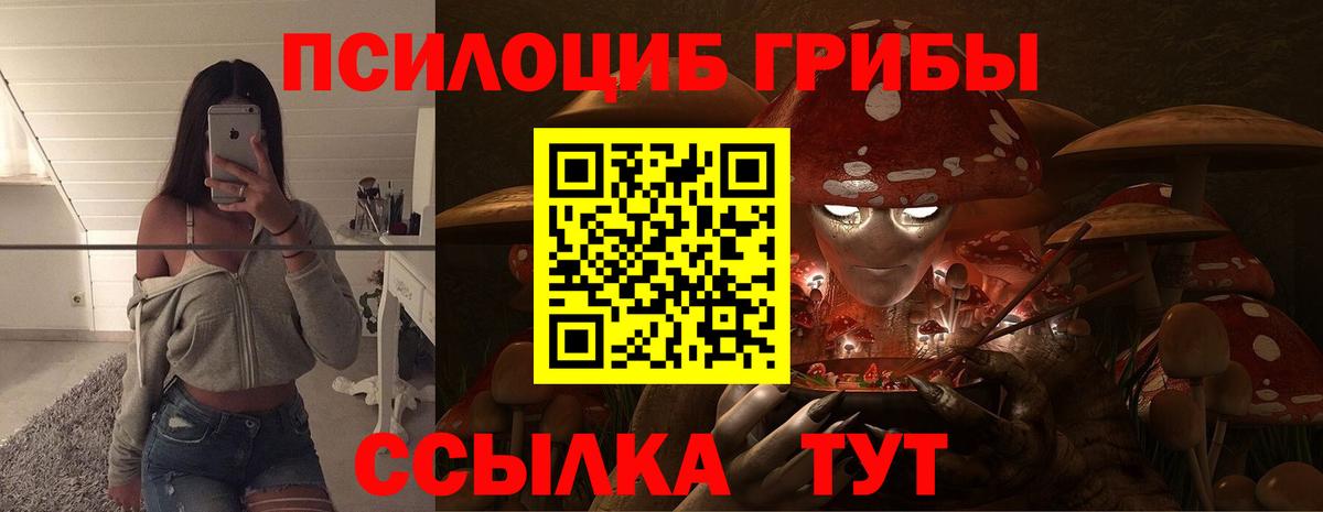 Камышин  Галлюциногенные грибы прущие грибы  как найти   Вход с VPN  Галлюциногенные грибы мухоморы 